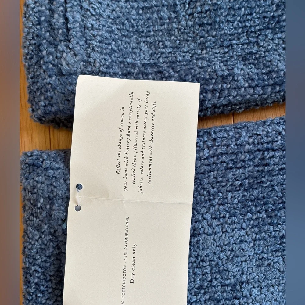 Pottery Barn Chenille 2 Pillow Cases size 18x18 inches